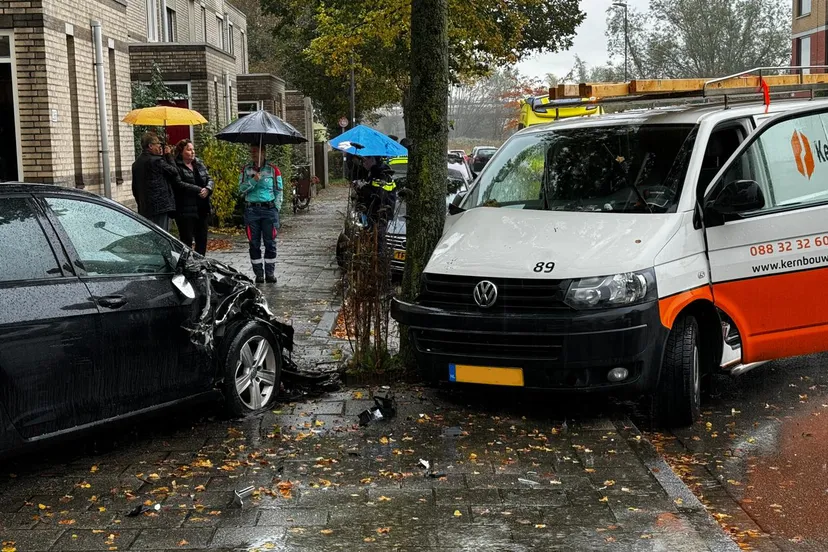 img 20231031 wa0089 kopieren