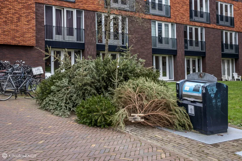 kerstbomen weg2
