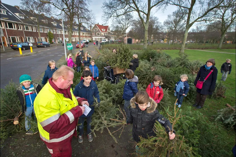 kerstbomen
