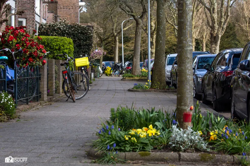 kweektuinstraat bloemen