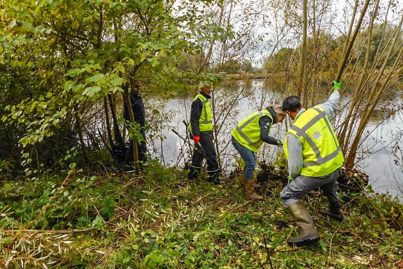 landelijke natuurwerkdag 2022 foto 3 kopieren