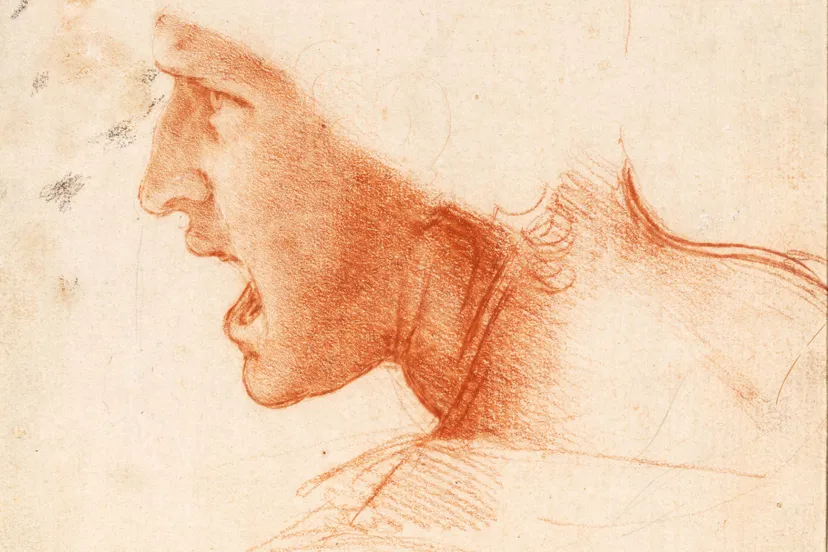 leonardo da vinci study of a warriors head for the battle of anghiari low res 1