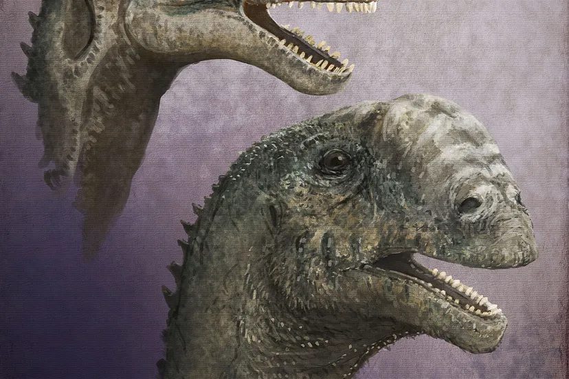 markwitton europasaurusholgeri 2017 1