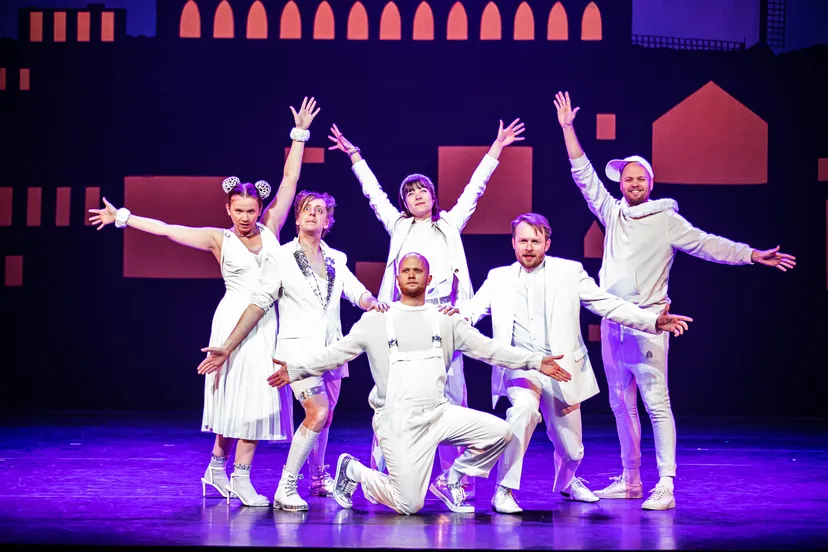 mellemeivogel hemelshaarlem lowres 71