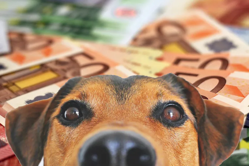 money 1005477 1920 2 pixa