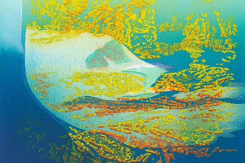 nono reinhold ltang bleu clair cover