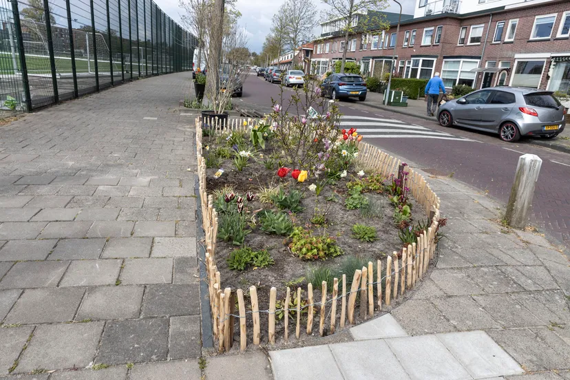 oosten de bruijn tegelwip2