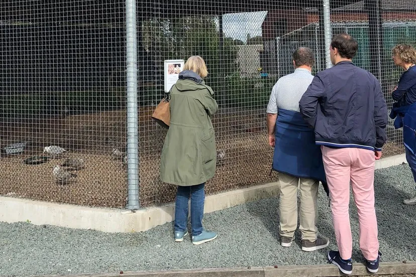 open huis vogelhospitaal 12 september 2020 foto nancy bromet