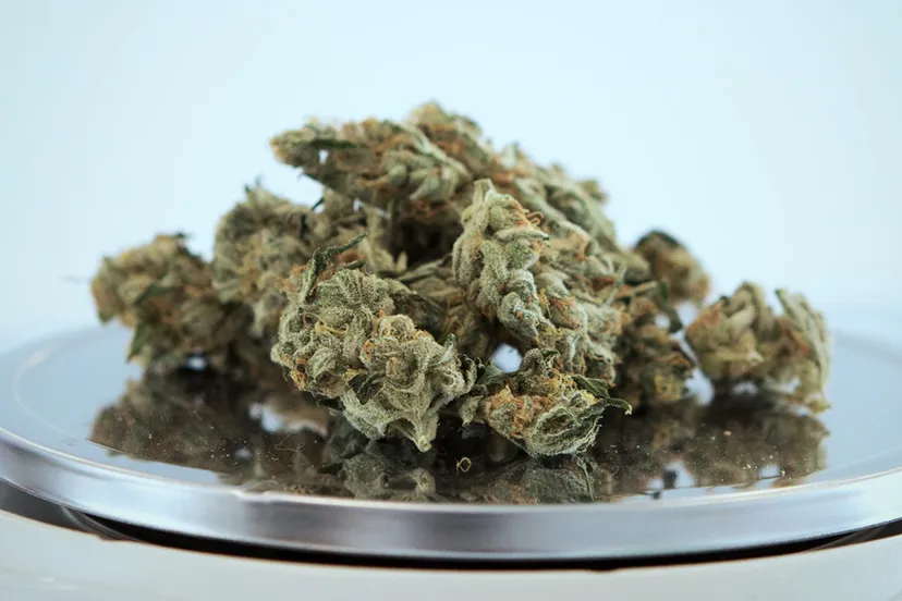 photo 1457573460490 72be92256efa