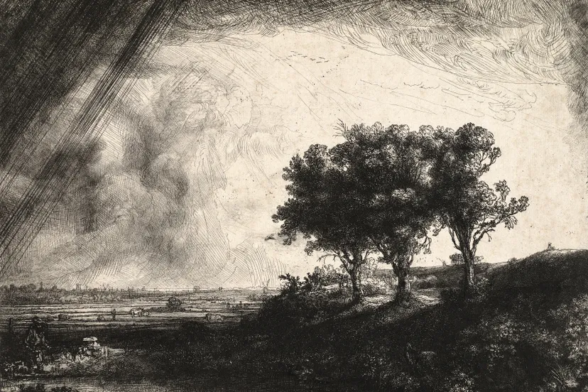 rembrandtvanrijn dedriebomen