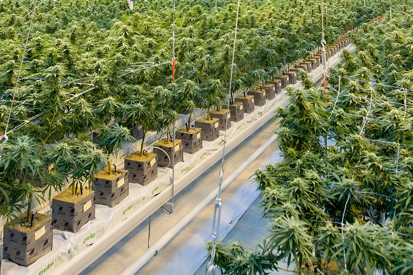 richard t yovhxpl8v1m unsplash