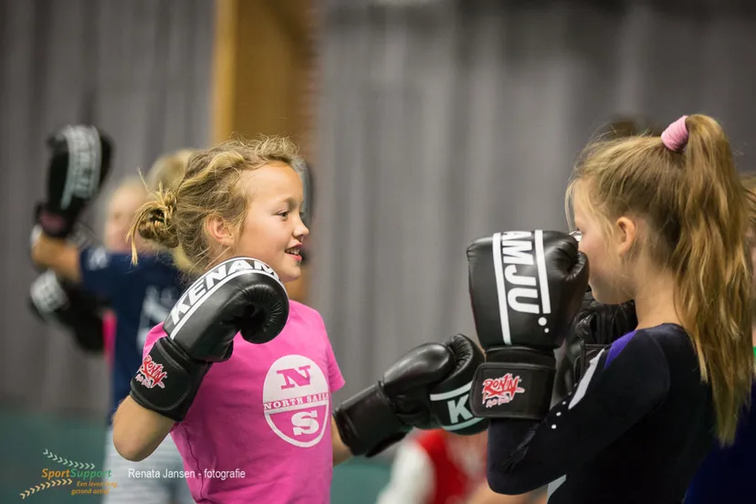 rj8 10 sps sio 80153