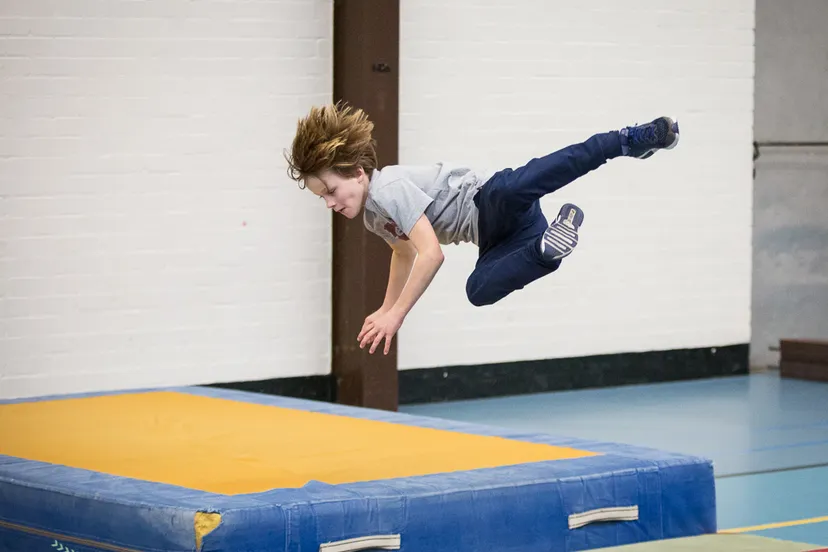 rj8 11 sps fre 80982 copy