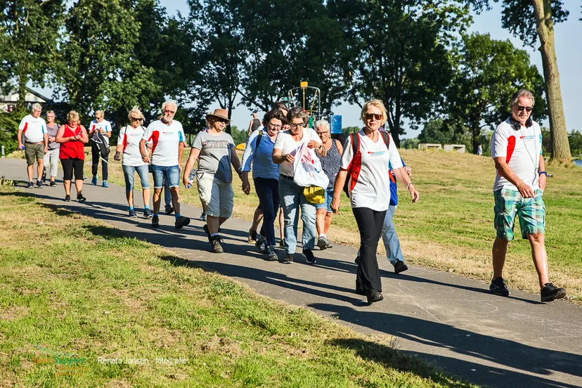 rj8 6 sps bvdgf 80034 diabetes challenge