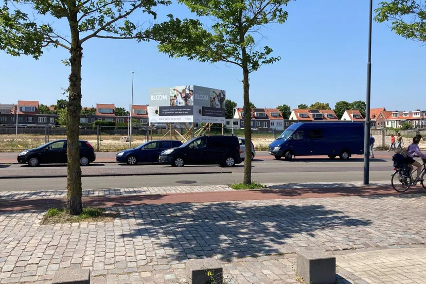 sonneborn 2 kopieren