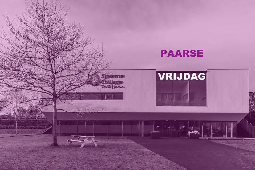 spaarne college paars