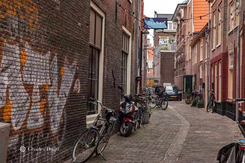 stalker kromme elleboogsteeg