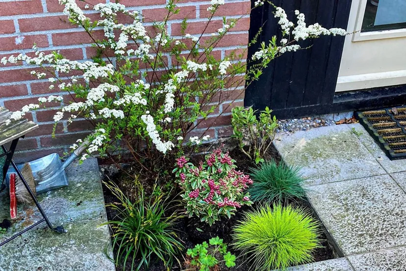 tegeltuin anne andela