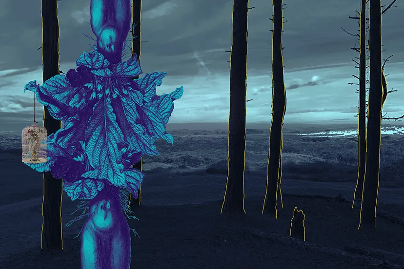 the creature sacha zwiers