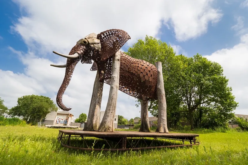 the weeping elephant op het terrein van hof van jacob 9 juli 2021