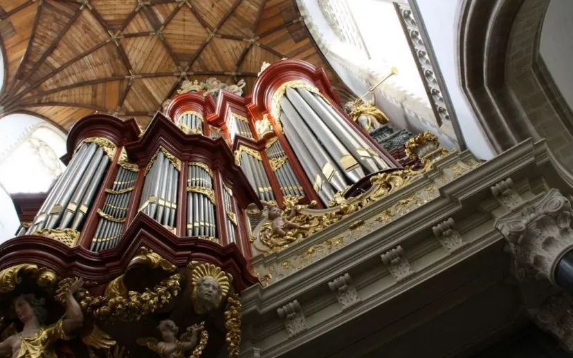 tumblr mrjd1t8qry1svvyvco1 1280 915x518 1