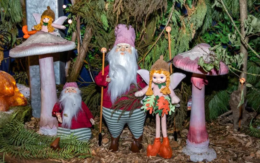 uitgelicht 915x518 1