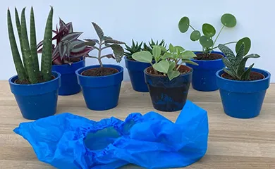 van overschoen tot bloempot bloempotten web