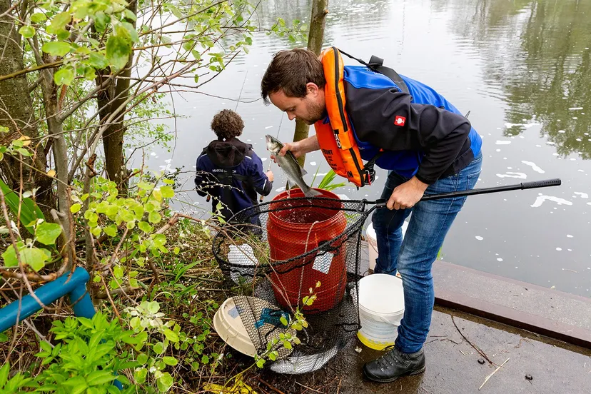 vissen tu wageningen 4711