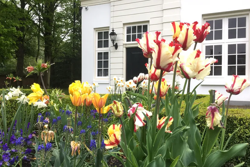 voorjaar op beeckestijn foto eveline blok natuurmonumenten