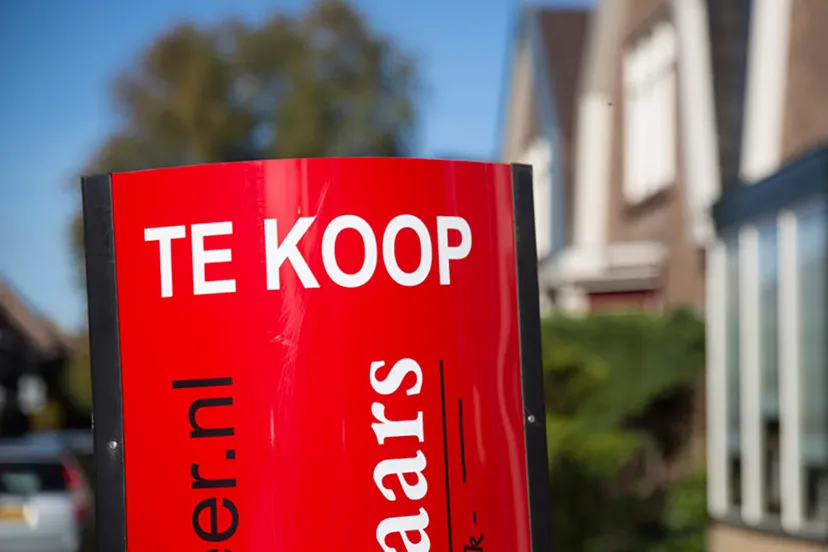 wim meijer fotografie 5i5a3237 915x518 kopieren