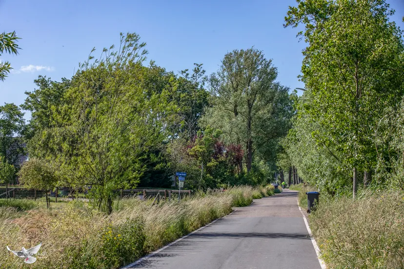 zuid schalkwijkerweg2