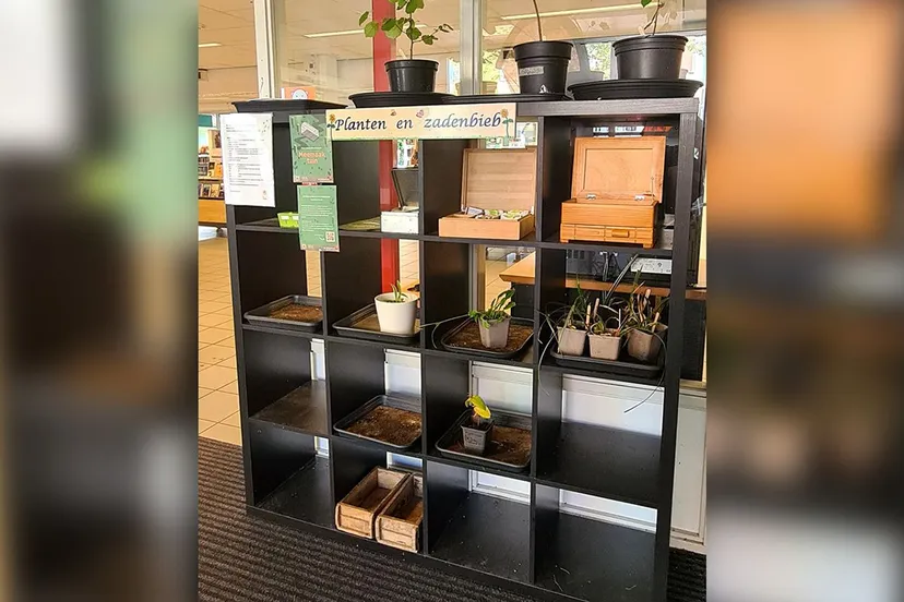zaden en plantenbieb 1 kopie