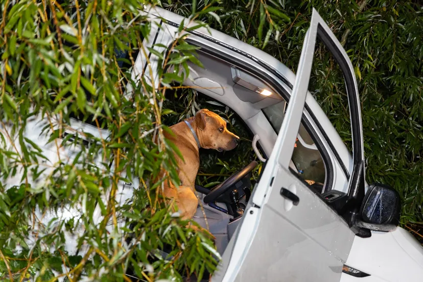 708d357e 2ff7 48aa bf18 62486faa4819