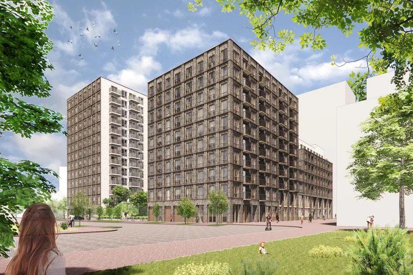 20230711 schalkwijk haarlem groosman