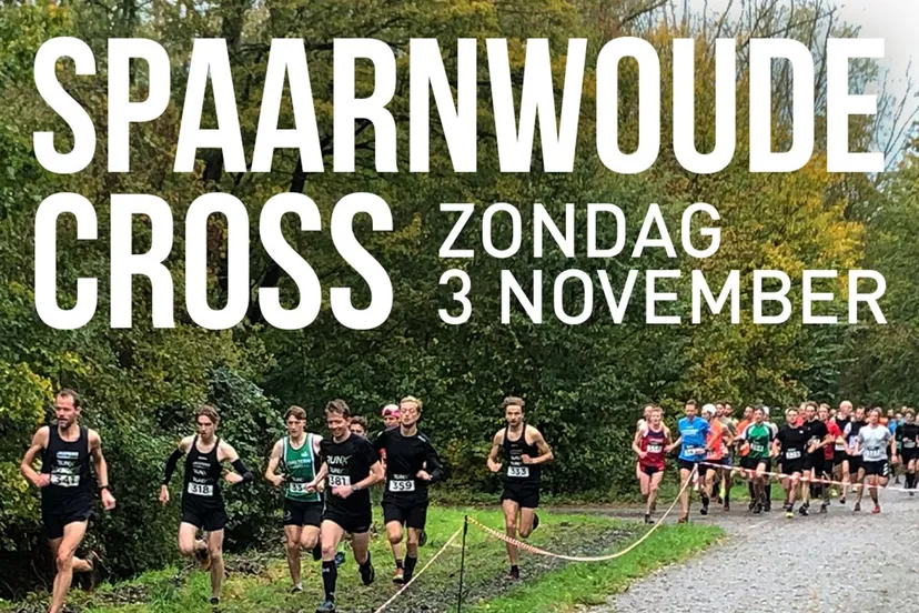 kav cross 2024 ig story 1080x1920 kopieren