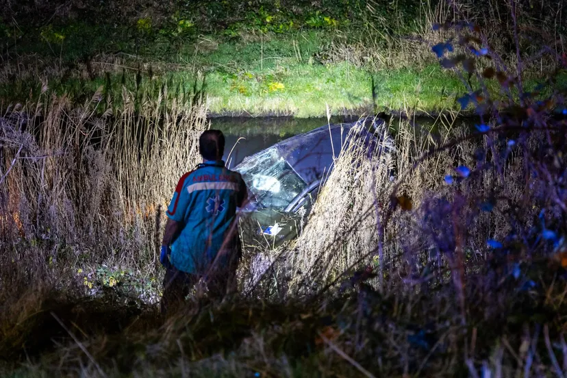 db54f8fc 6649 4e95 b86f ff6b0e3bd73c