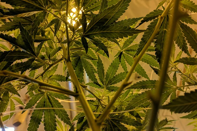 drew taylor 7yty0m7xnyu unsplash 1