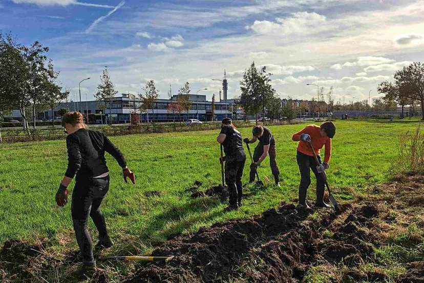16x9 meerbomen haarlem3 kopie