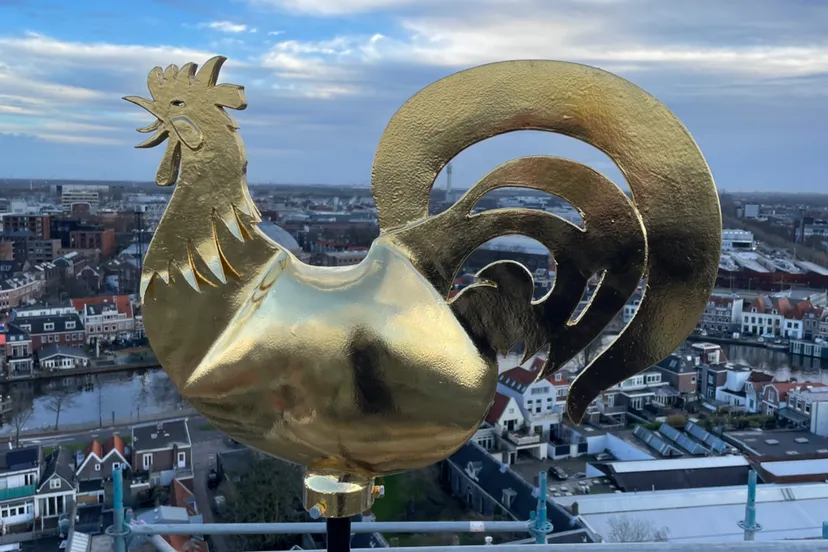 haantje terug op de bakenessertoren