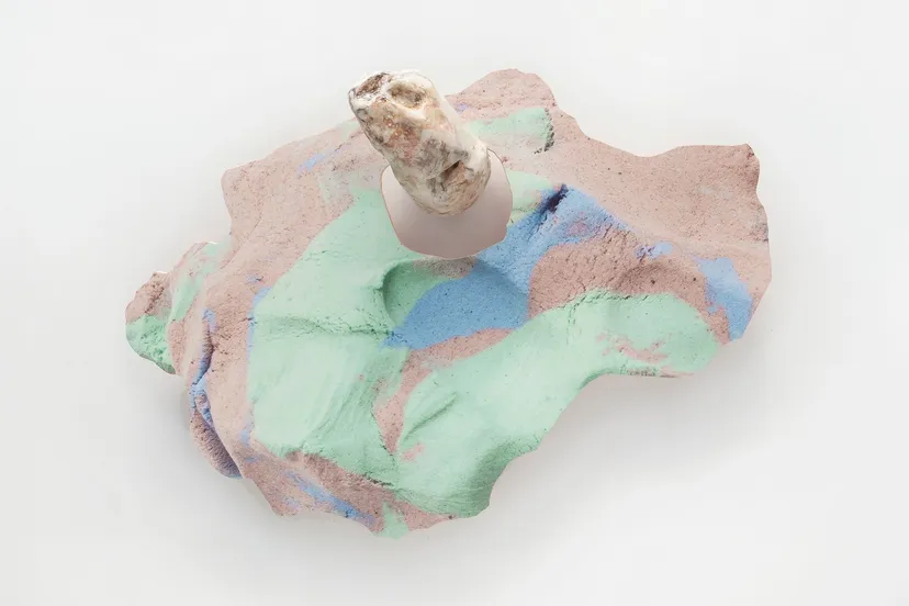 rachel de joode soft inquiry iib