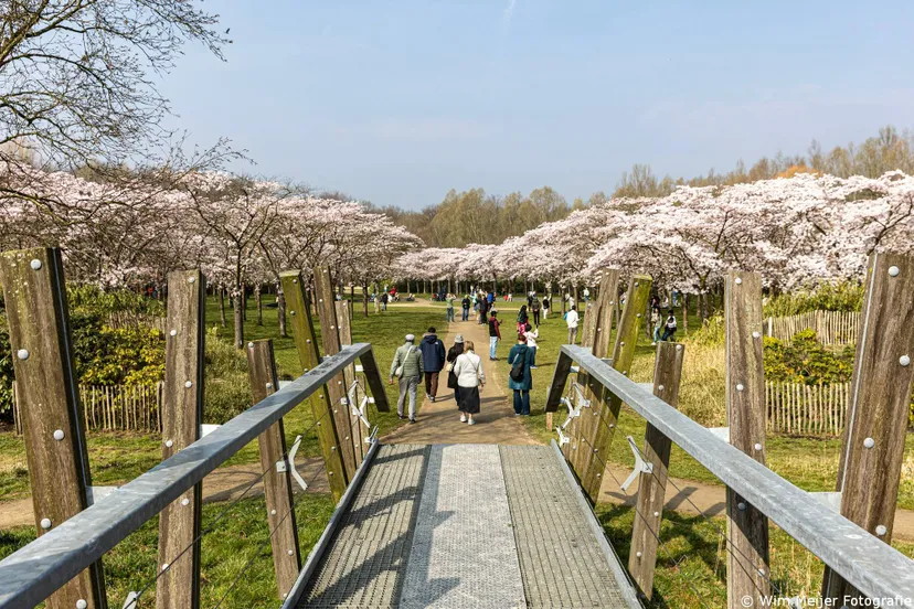 494a2353 kopieren karge