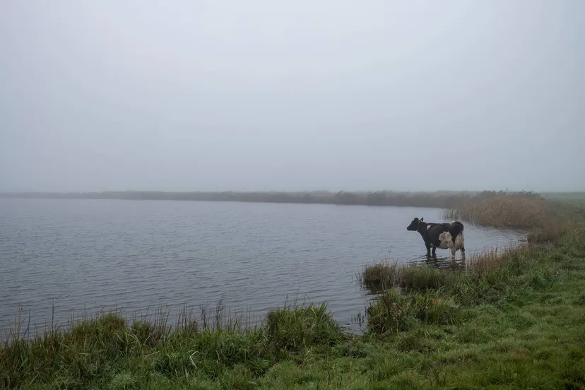 boerderij het vertrouwen persbeeld 2040 landbouw in transite david galjaard