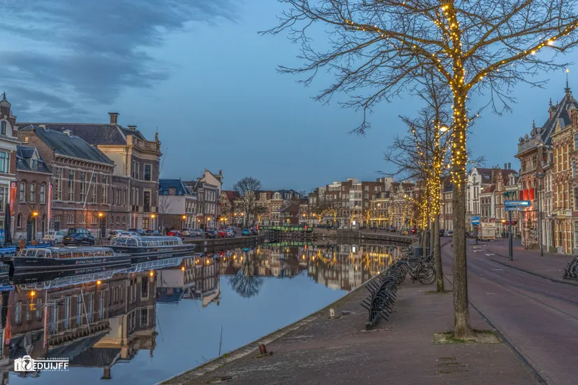 spaarne lights