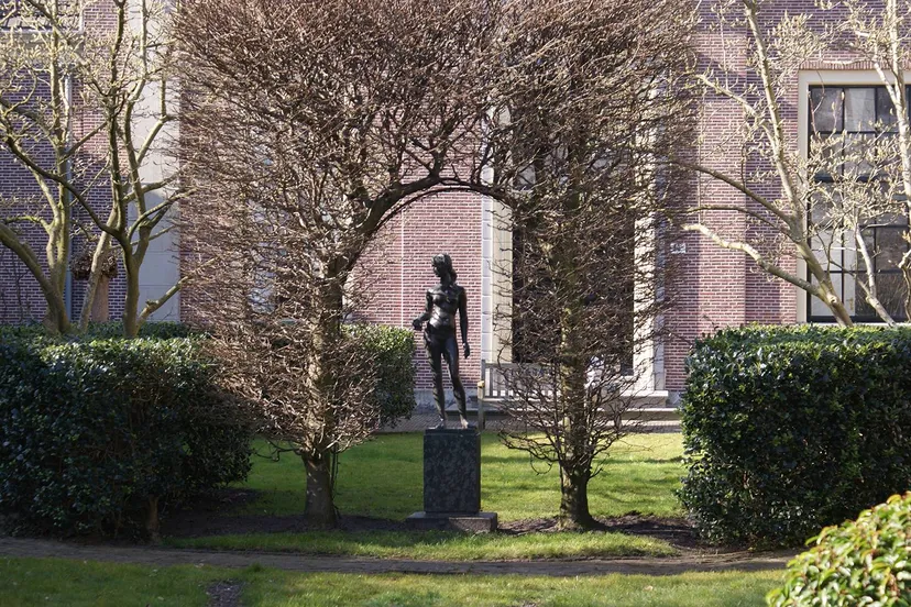 persbericht haarlem marketing vrijheidswandelig 8 mei 2025 kopieren