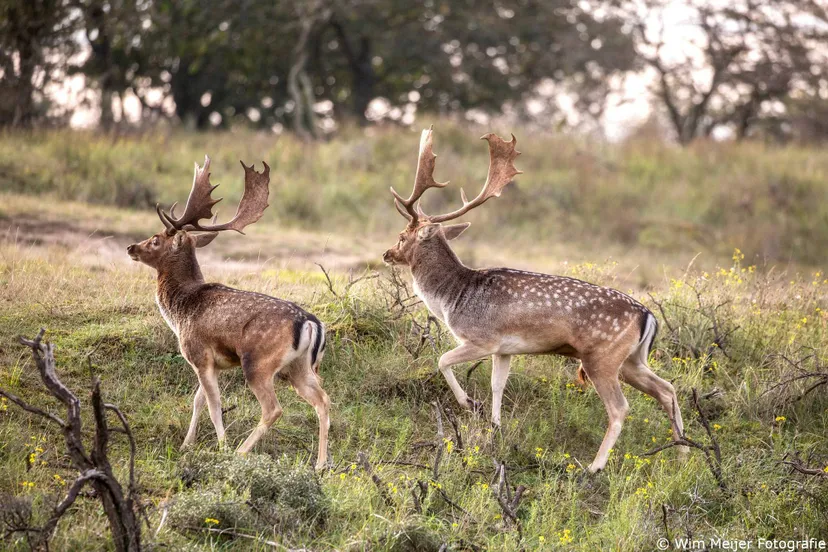 504077447_10230872531902876_8782753524525320134_n