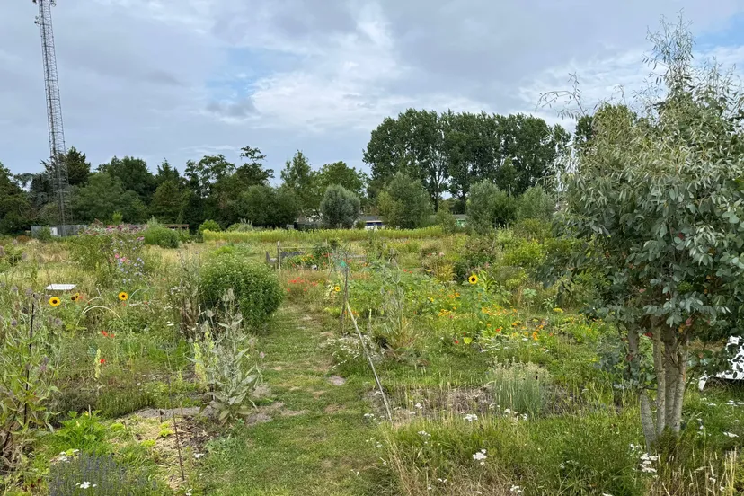 Buurttuin 1 (foto Michiel Boeken)