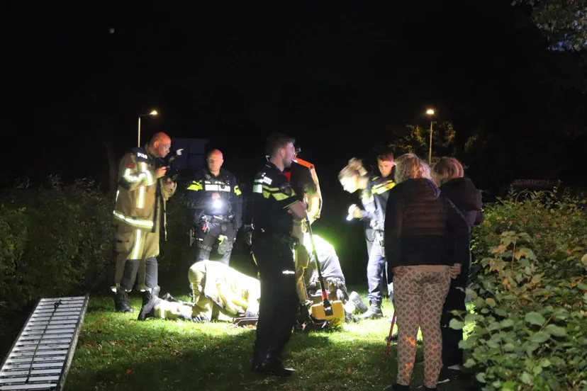 46a856ae-b5a8-42ad-ac81-8629da8155f8