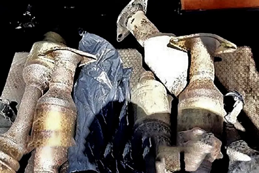 191626724 3031030600516826 7672960268781874904 n