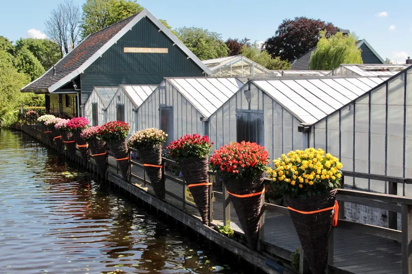 19400304 1891671427767087 3130714901267809217 o