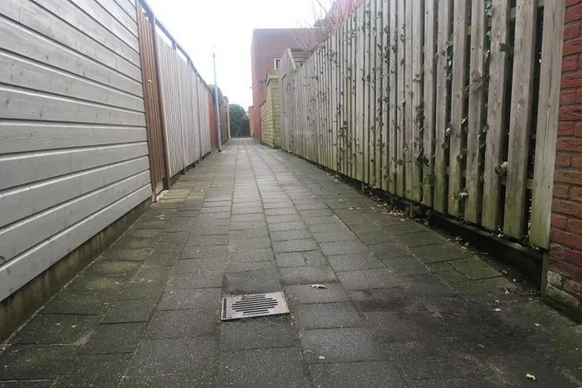 2021 02 17 getsewoud richard